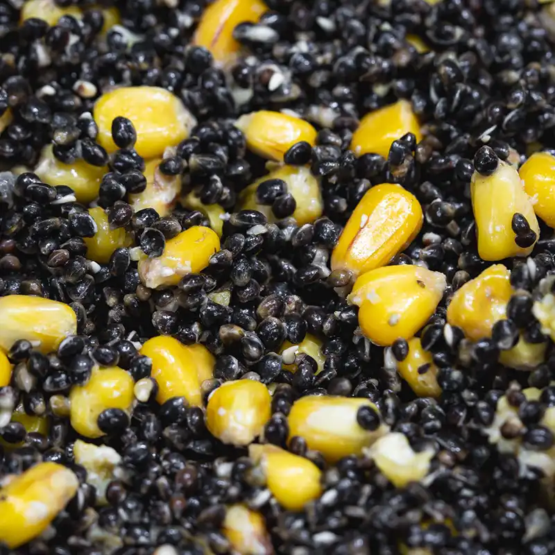 hemp-and-maize-cotswold particles